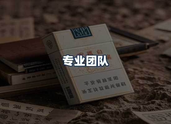 专业团队